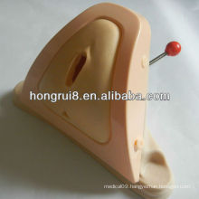 Advanced skills training episiotomy cutting&suturing simulator